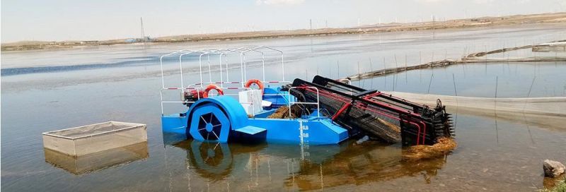 River Aquatic Weed Salvage Ship/Full Automatic Lake Weed Harvester