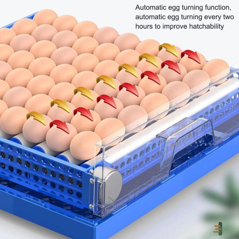 Fully Automatic 72 Egg Incubator Small Chicken Egg Incubator for Poultry Farm Egg Hatching Machine