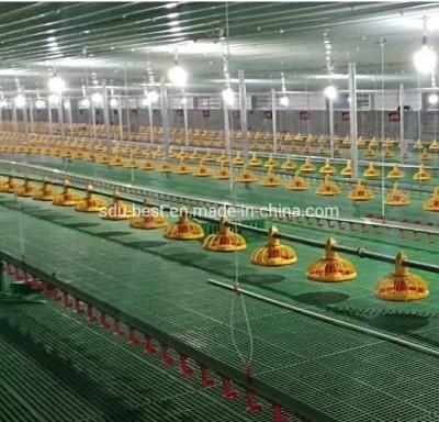 Farming Automatic Chicken Drinking and Feeding Line System for Broiler Chicken Floor Poultry Farm House Equipment