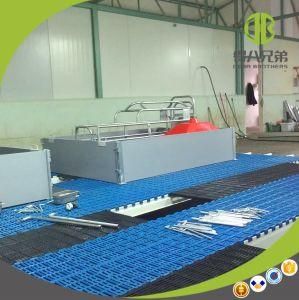 European Style Anti-Corrosion Farrowing Crate