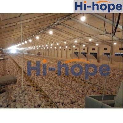 Poultry Farm Pan Feeding System for Broiler Feeding Line