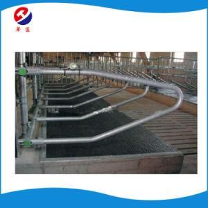 Cattle Cow Free Stall Agriculture Farm Equipment/ Cattle Stall