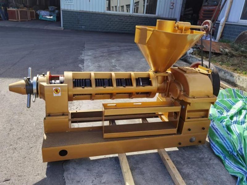 China Factory Supply Sunflower Seeds Screw Oil Press Machine