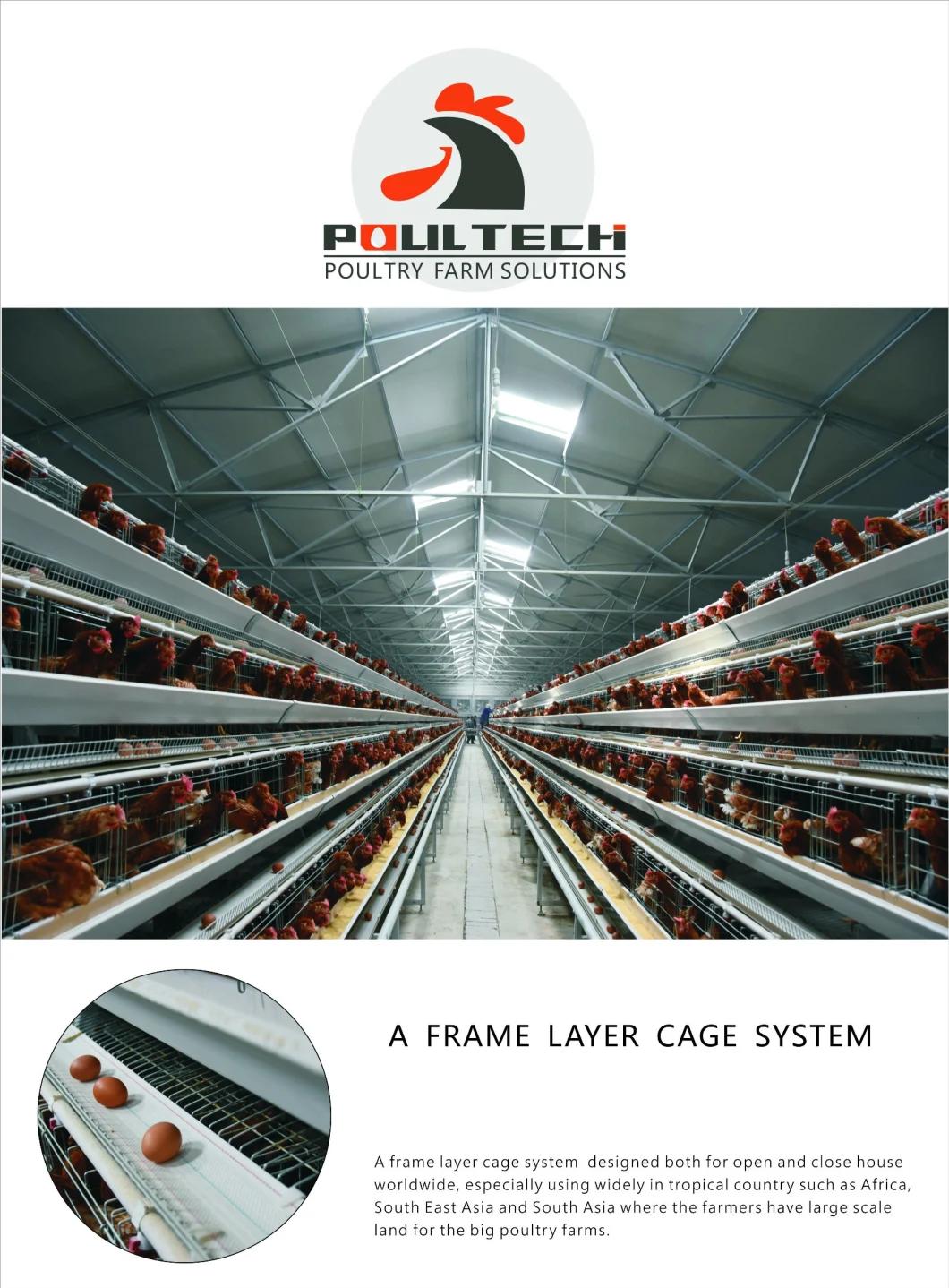 Specialized Battery Layer Cage for Poultry Farm in Africa