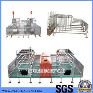 China Fagctory Directly Sales Galvanized Steel Sow Gestation Crates with PVC Fence