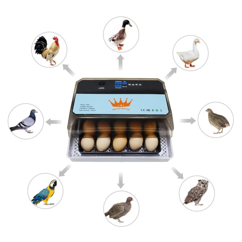 220V Hot Sale Dual Power Incubator Poultry Egg Incubator 15 Chicken Egg Capacity