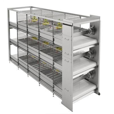 High Quality Full Automatic Steel Poultry Farm with Self Equipment