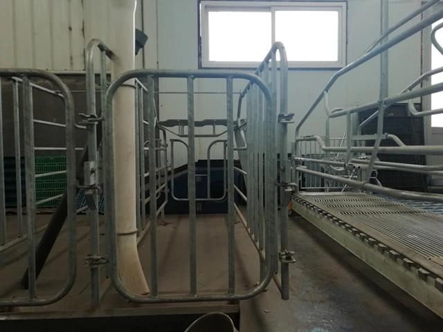 Pig Farrowing/Nursery Crate for Sale