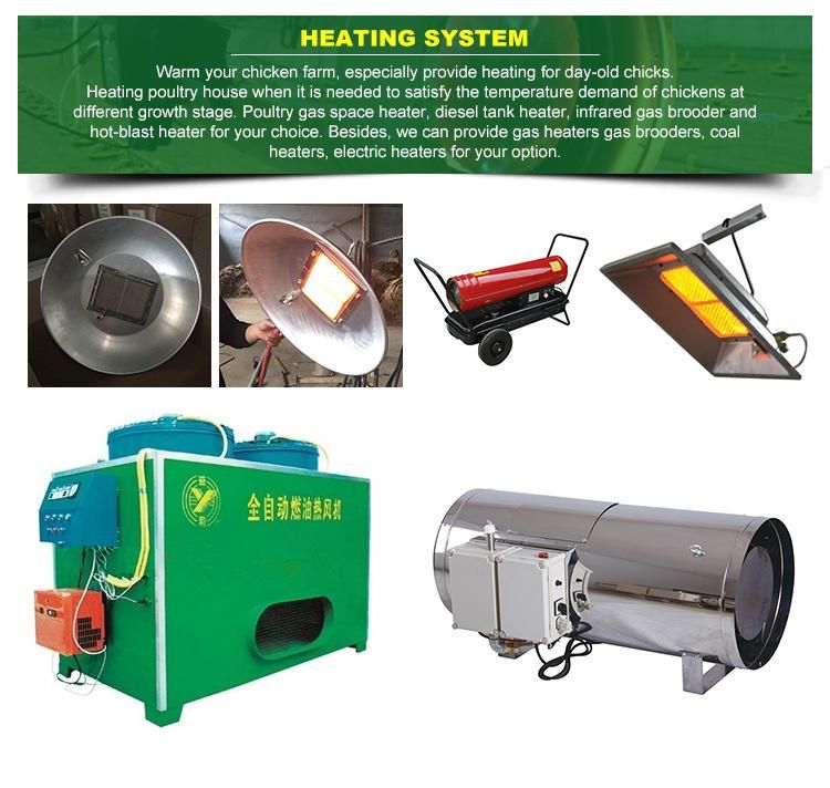 Modern Chicken Farm in Kenya Automatic Poultry Equipment