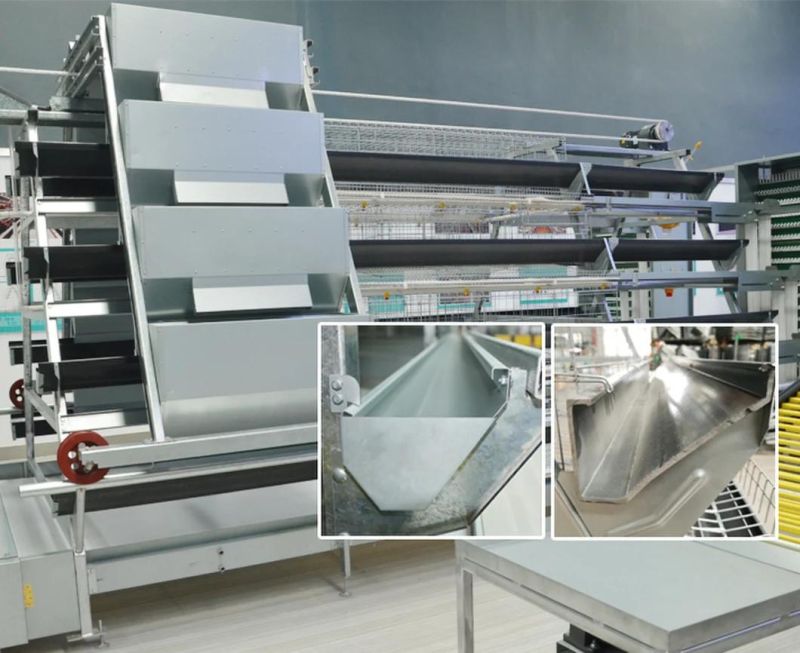 Fully Automatic System Broiler Breeding System and Factory