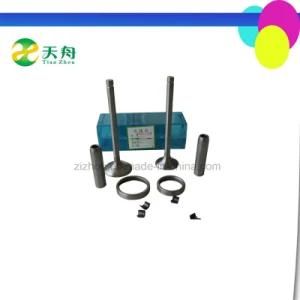 Supply High Quality Diesel Engine Parts Zh1115 Valve Assy