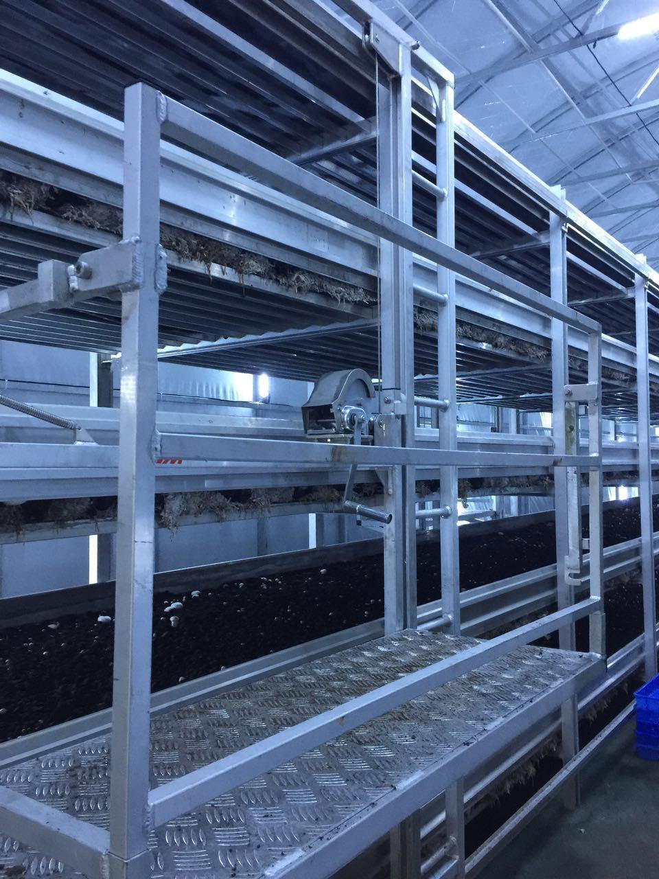 Mushroom Aluminium Alloy Growing Shelves for Farm