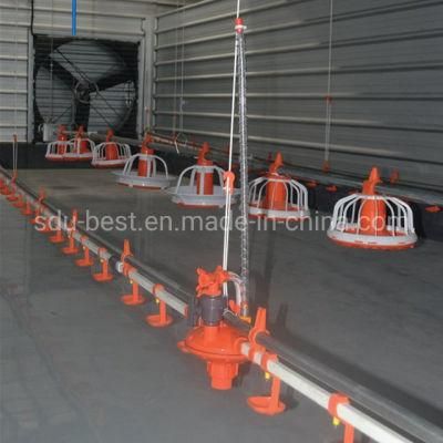 U-Best Series Poultry Equipment for Chicken Farm
