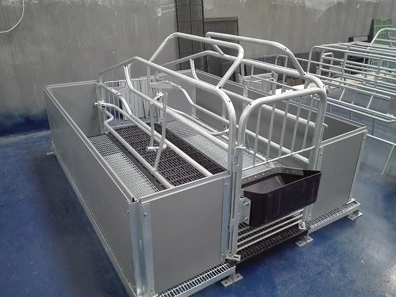 Hot DIP Galvanized Pig Farrowing Crate Pig Pen Pen