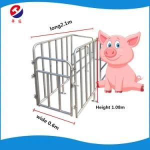 Pig Gestation Crates/ Limit Stall for Sow with High Quality Feeder Though/ Pig Hot Sell Cage