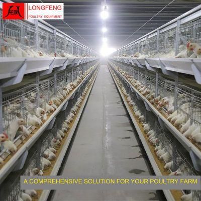 Hot Sale Farming Chicken Longfeng China Drinkers Poultry Feeding Cage Equipment 9lcr-3120