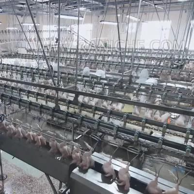 1500bph Goose Meat Processing Slaughterhouse