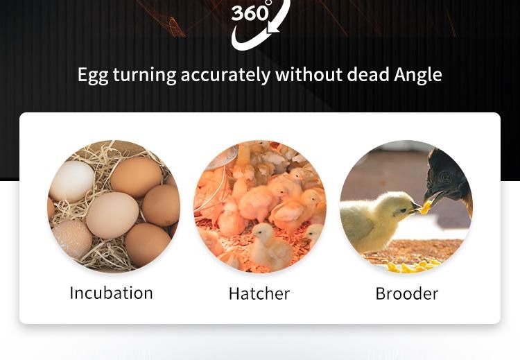2022 Newest Design 1000 Egg Incubator with Brooder Basket for Retail