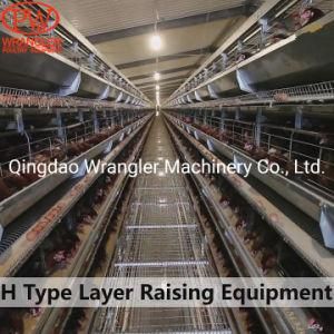 Poultry Battery Chicken Cages for Poultry Farm Chicken Cage