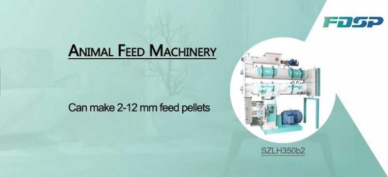 CE ISO Automatic High Quality Ring Die Animal Feed Pellet Mill Made in China