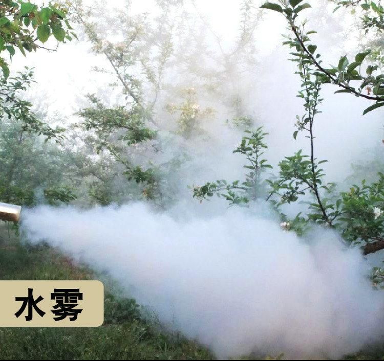 Um Portable Smoke Water Mist Machine Handled Water Mist Spraying Machine Fogging Cannon Mist Sprayer Machine