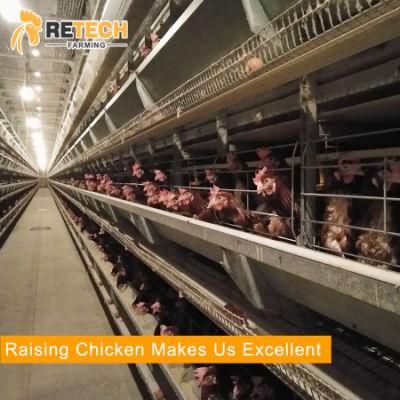 China Supplies 3/4/5/6 Tiers Chicken Layer Battery Cage