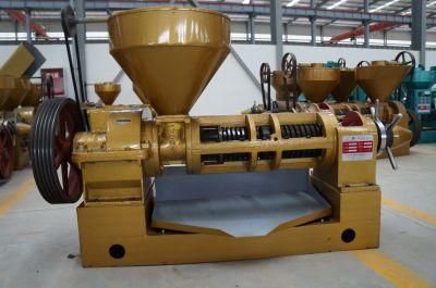 Sunflower Seeds Oil Expeller