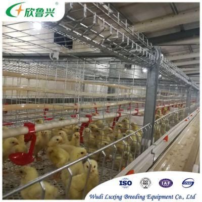 Modern Poultry Farm Equipment New Design H Type Chicken Breeding Cage