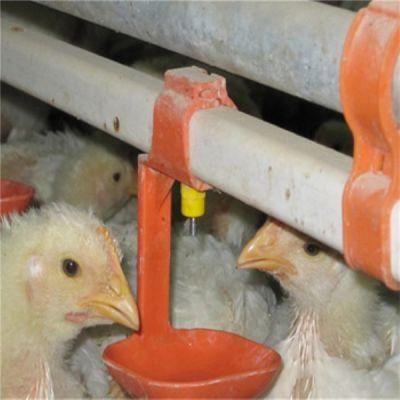 Animal Nipple Drinking System for Poultry Chicken Equipment