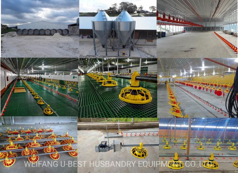 High Quality Insulated Wall Roof Panel Poultry House Design Philippines for Broiler and Breeder Chicken