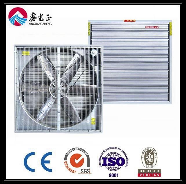 Steel Structure Poultry House (BYPH-220521009)