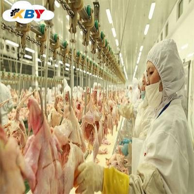 Farm Chicken Slaughter Line/Chicken Slaughtering Equipment/Chicken Slaughtering Production Line