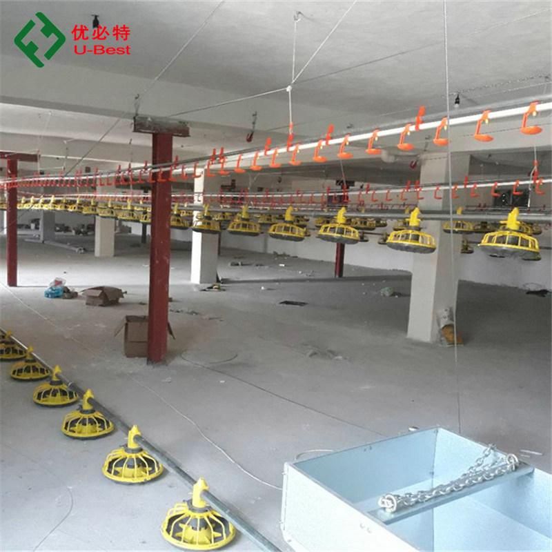 Chicken Broiler Poultry Farm Equipment Chicken Feeding Equipment /Poultry Breeding Equipment