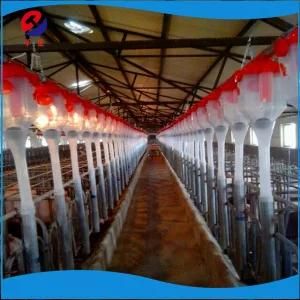 Pig Feeding System/ Double Side Trough/ Dry Wet Feeder/ Pig Trough/ Feeder for Sow Feed Silo
