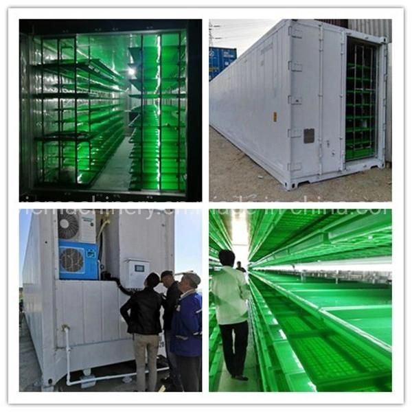 Professional Hydroponic Fodder Growing Cabinet With Ozone Machine