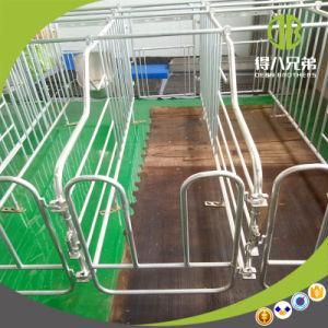 Very Popular Gestation Stall with Big Pig Farms on Sale