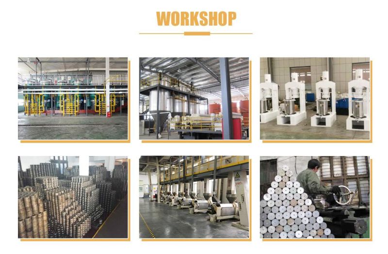 Soybean Peanut Olive Coconut Avocado Almond Walnut Hydraulic Screw Oil Extractor Hydraulic Oil Press Machine