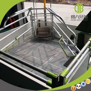 China Pig Farm Farrowing Crate High Strengh Galvanized Farrowing Crates