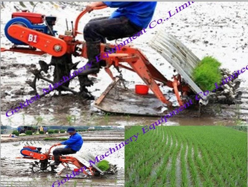 Hot Selling Paddy Rice Seedling Transplanter Planting Machine