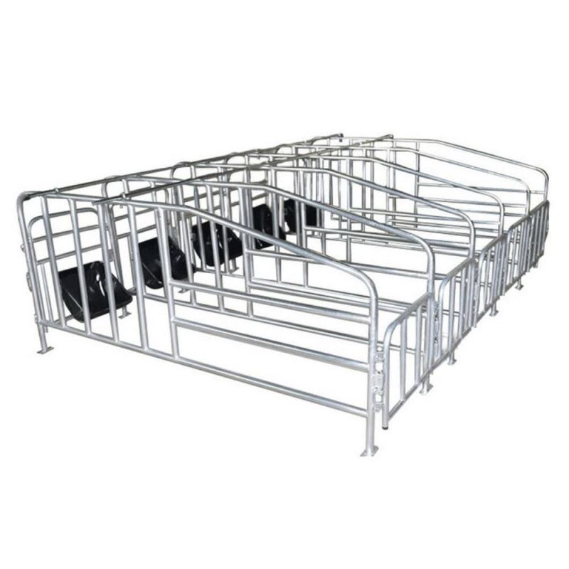 Galvanized Sow Farrowing Crate Pig Farm Machinery for Sale