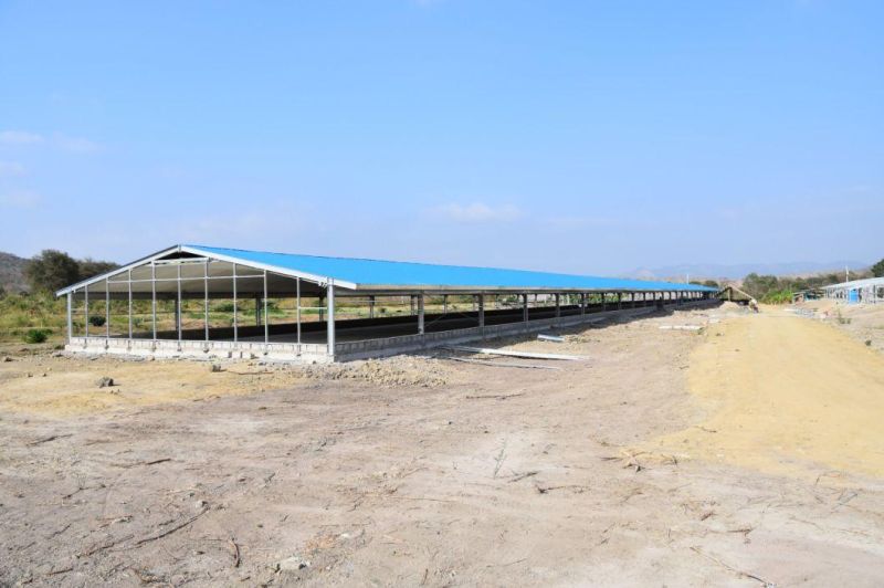 Prefab Poultry Farm House with Automatic Poultry Equipment