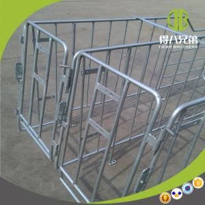 Pig Equipment Gestatin Stall Individual Stall on Sale