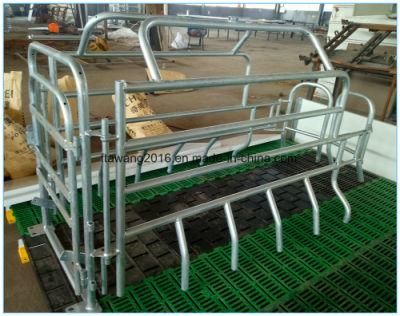 Galvanized Gestation Crate Pig Equipment Farrowing Bed