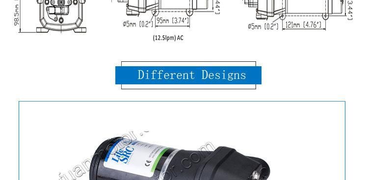 AC/DC Filling Pump for Disinfectant Water