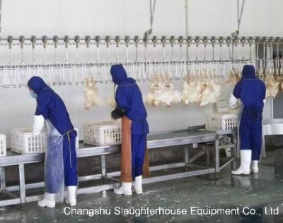 Slaughtering Line for Chicken, Duck, Goose Slaughterhouse