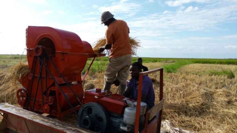 Top Quality Rice Thresher on Sale