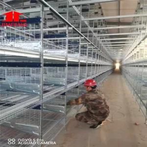 Design Modern Automatic Galvanized Chicken Cage House Poultry Farm Equipment