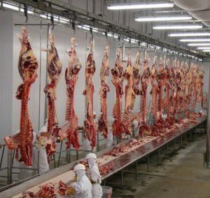 Turnkey Halal Cattle Slaughter Equipment