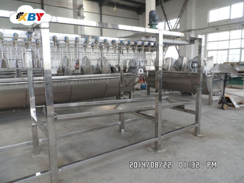 Compact Slaughtering Line for Poultry Processing. Best Quality with Lowest Price.