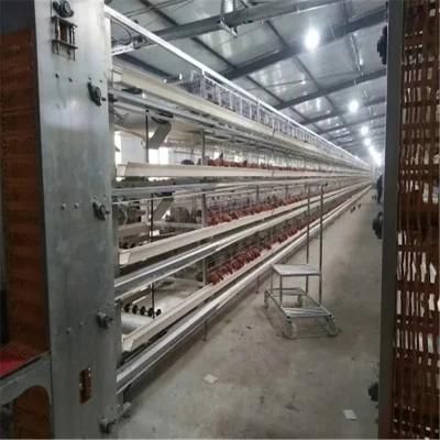 6-Storey High-Quality Cage Equipment for Layer Chicken